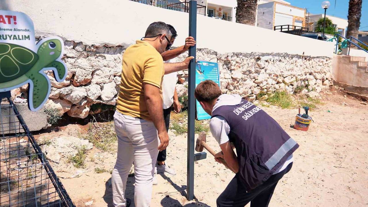 Didim Belediyesi, caretta caretta yuvalama alanlarını koruma altına aldı