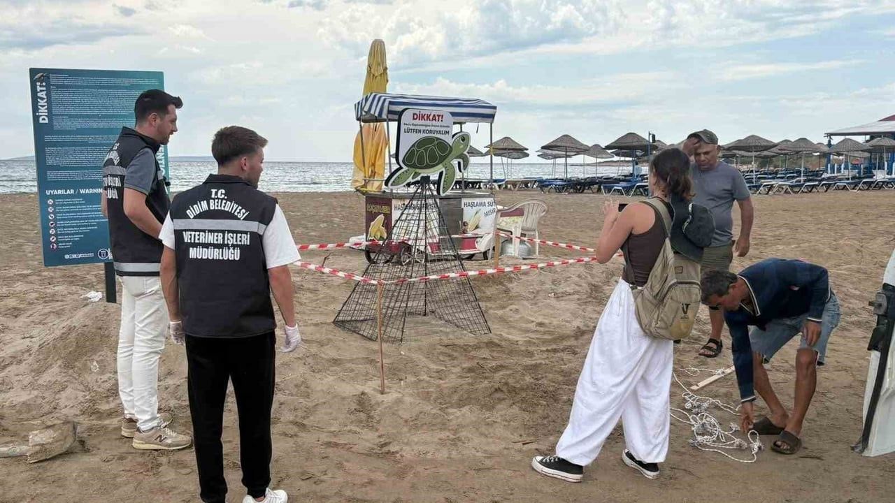 Didim ekipleri carettayı çakallardan koruyarak denize ulaştırdı
