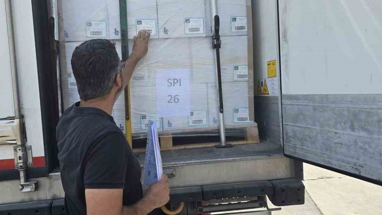 Didim’in balıkları İngiltere’ye ihraç edilecek
