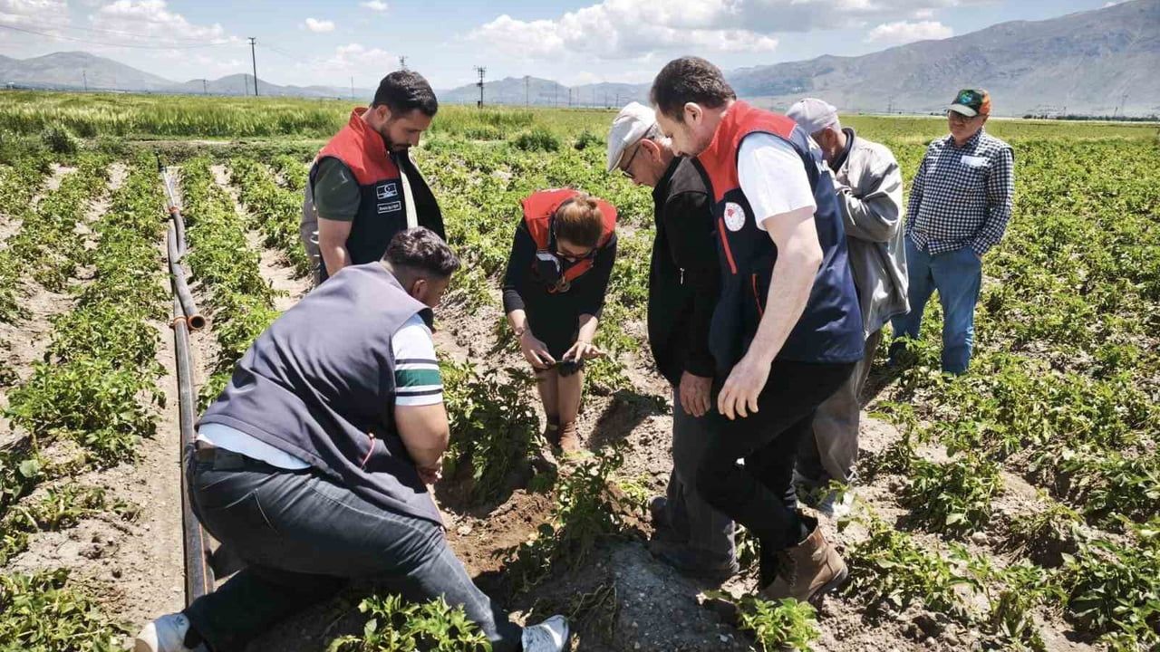 Dinar'da dolu sonrası tarım arazilerinde hasar tespiti başlatıldı