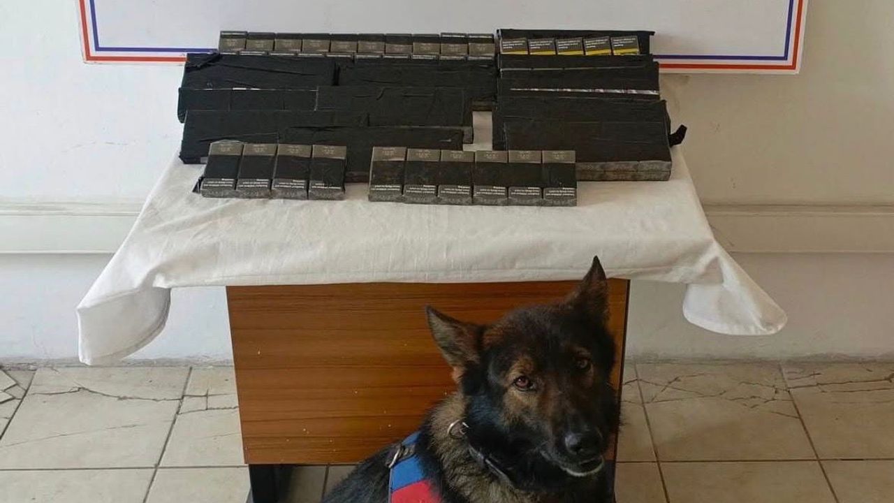 Diyadin'de 180 Paket Gümrük Kaçağı Sigara Ele Geçirildi