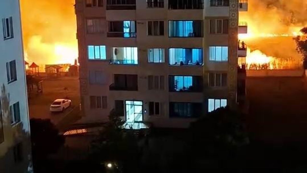 Diyarbakır Bağlar'da arazi yangını apartmanlara sıçramadan söndürüldü