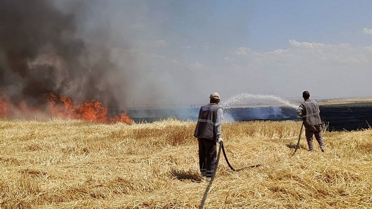 Diyarbakır’da hasadı tamamlanmış arazide yangın, yüzlerce dönüm alan zarar gördü