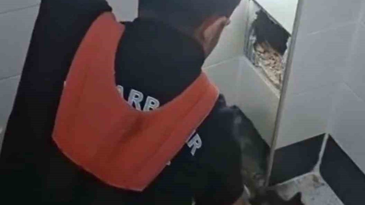 Diyarbakır'da itfaiye ekipleri havalandırma boşluğunda mahsur kalan yavru kediyi kurtardı