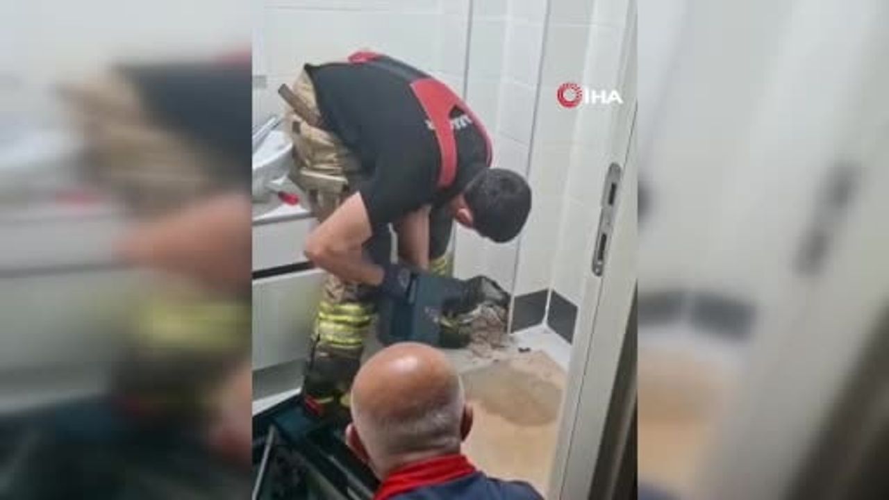Diyarbakır'da itfaiye ekipleri havalandırma boşluğunda mahsur kalan yavru kediyi kurtardı
