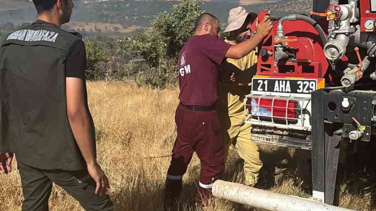 Diyarbakır'da orman yangını kontrol altına alındı