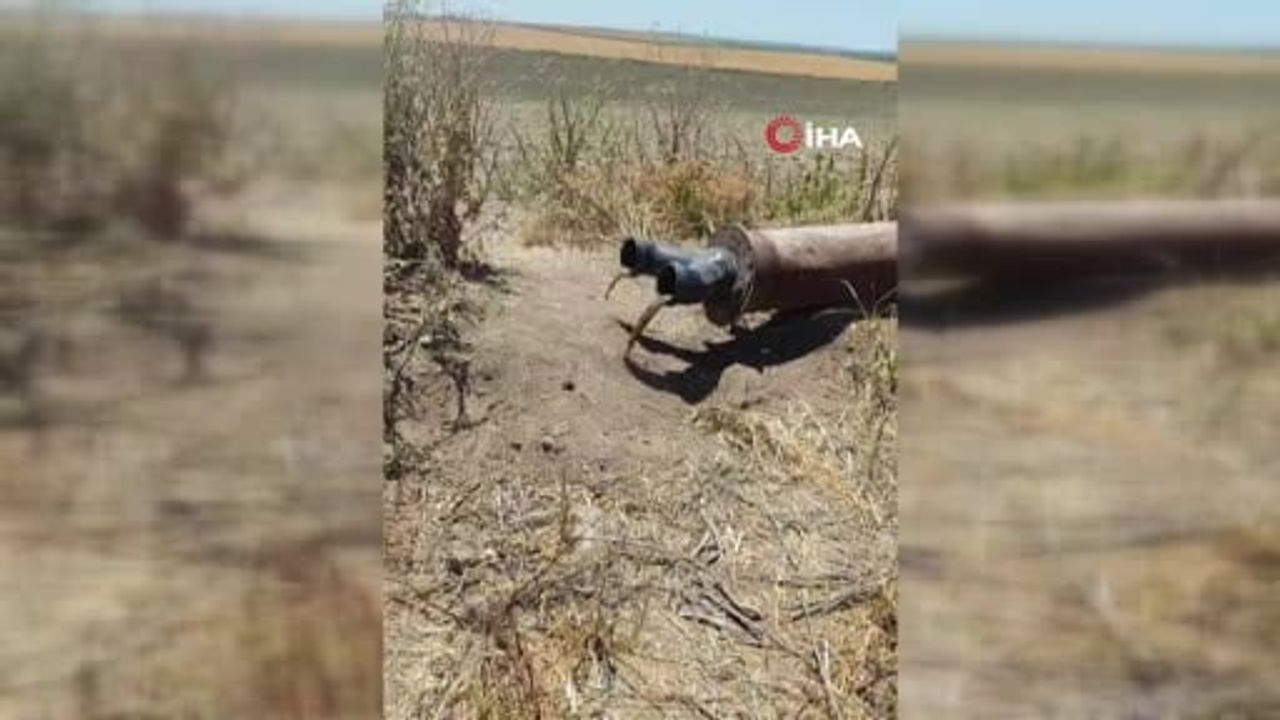 Diyarbakır'da sulama borusundan porsuklar çıktı