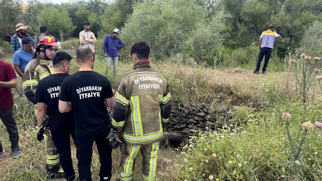 Diyarbakır Sur'da su kuyusuna düşen yaban domuzu itfaiye tarafından kurtarıldı