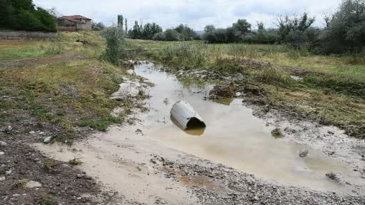 Dolu ve sel Yerköy'de arpa tarlalarına zarar verdi