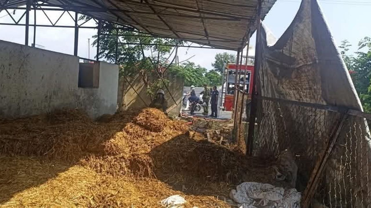 Dörtyol'da samanlık yangını kontrol altına alındı