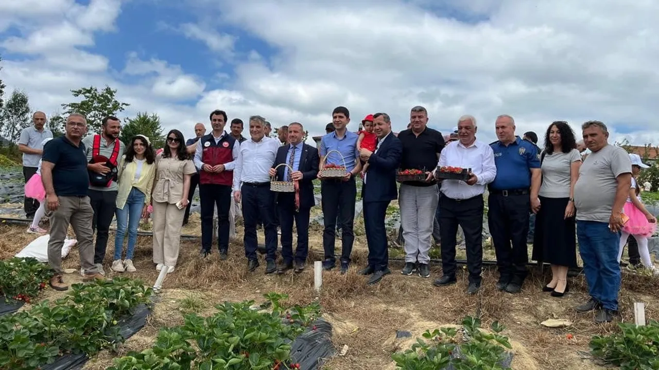 Dürtmen Yaylası'nda yayla çileği hasadı ve üretim alanı artıyor