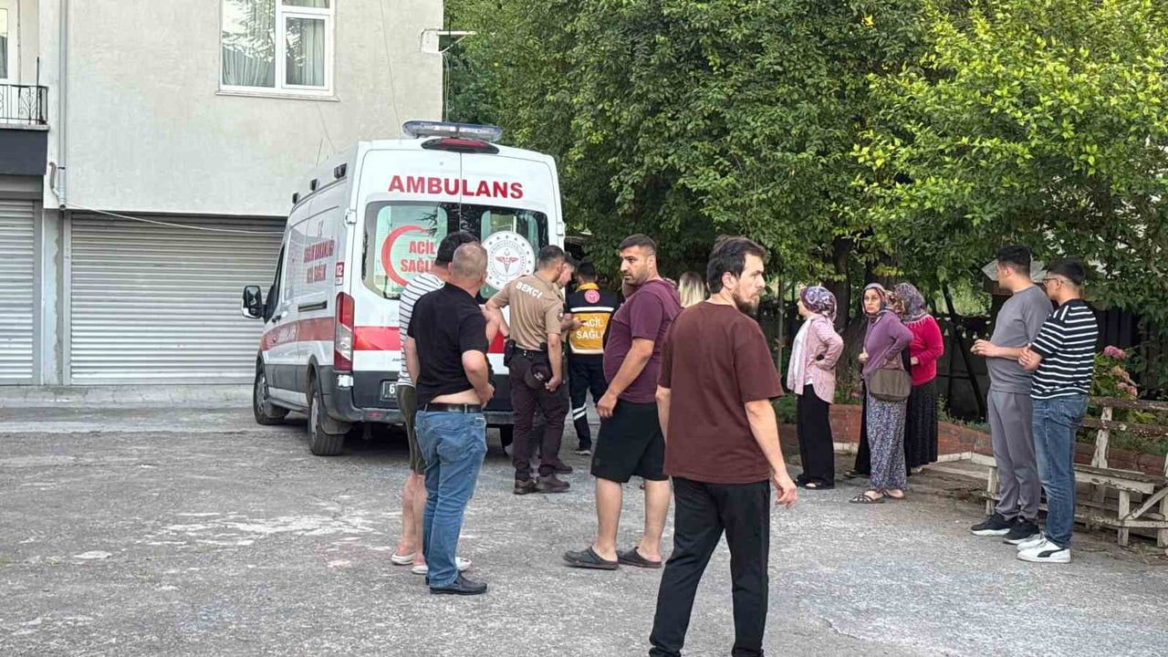 Dut toplarken ağaçtan düşen Dursun Ş. yaralandı