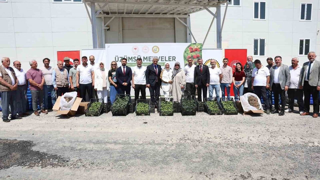 Düzce çiftçisine fide ve damla sulama sistemi desteği