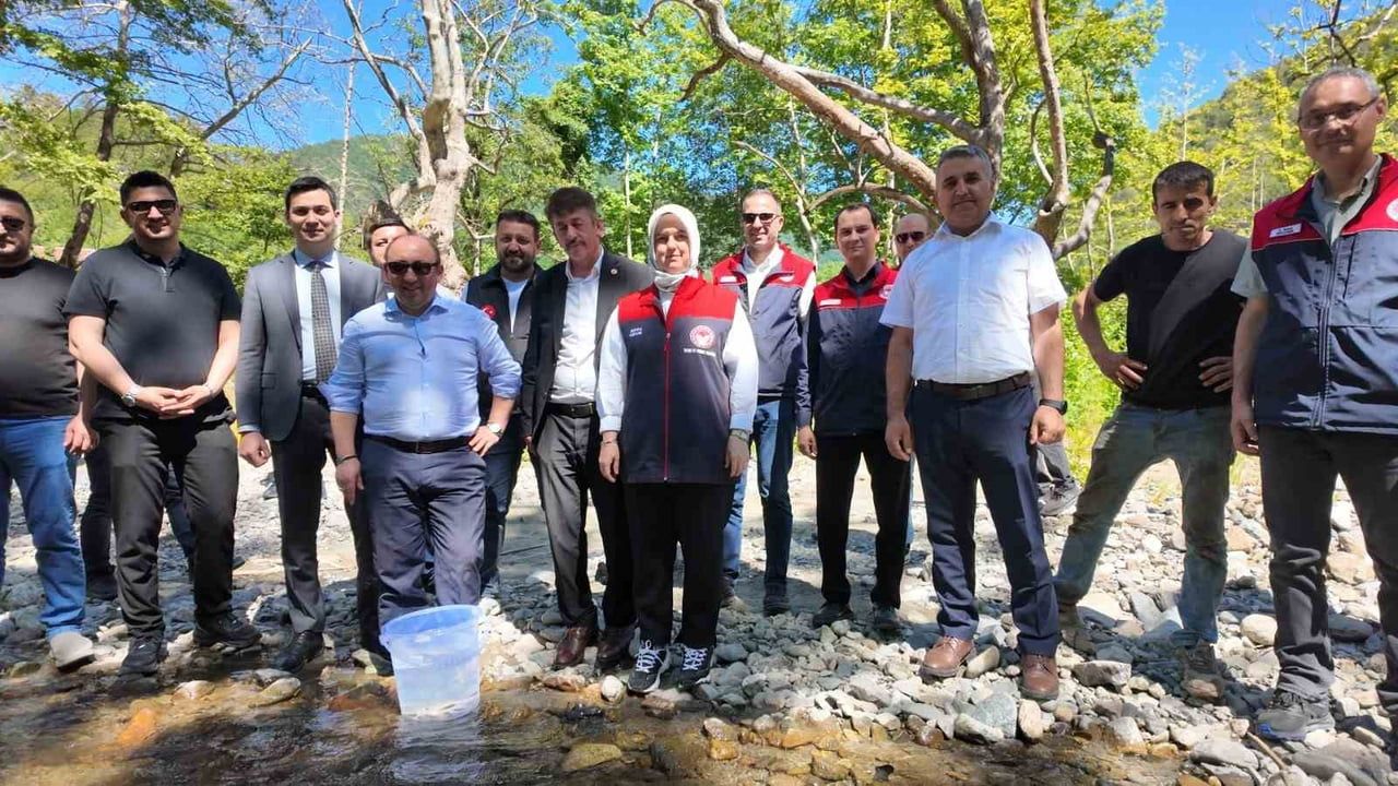 Düzce’de 7 bin 500 kırmızı benekli alabalık yavrusu suyla buluştu