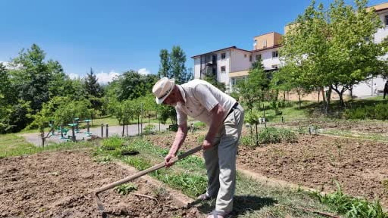 Düzce'de Ata Tohumlarıyla Kuşaklararası Buluşma: Tarım Akademisi ve Yaşlı Bakım Merkezlerinde Fide Dikimi