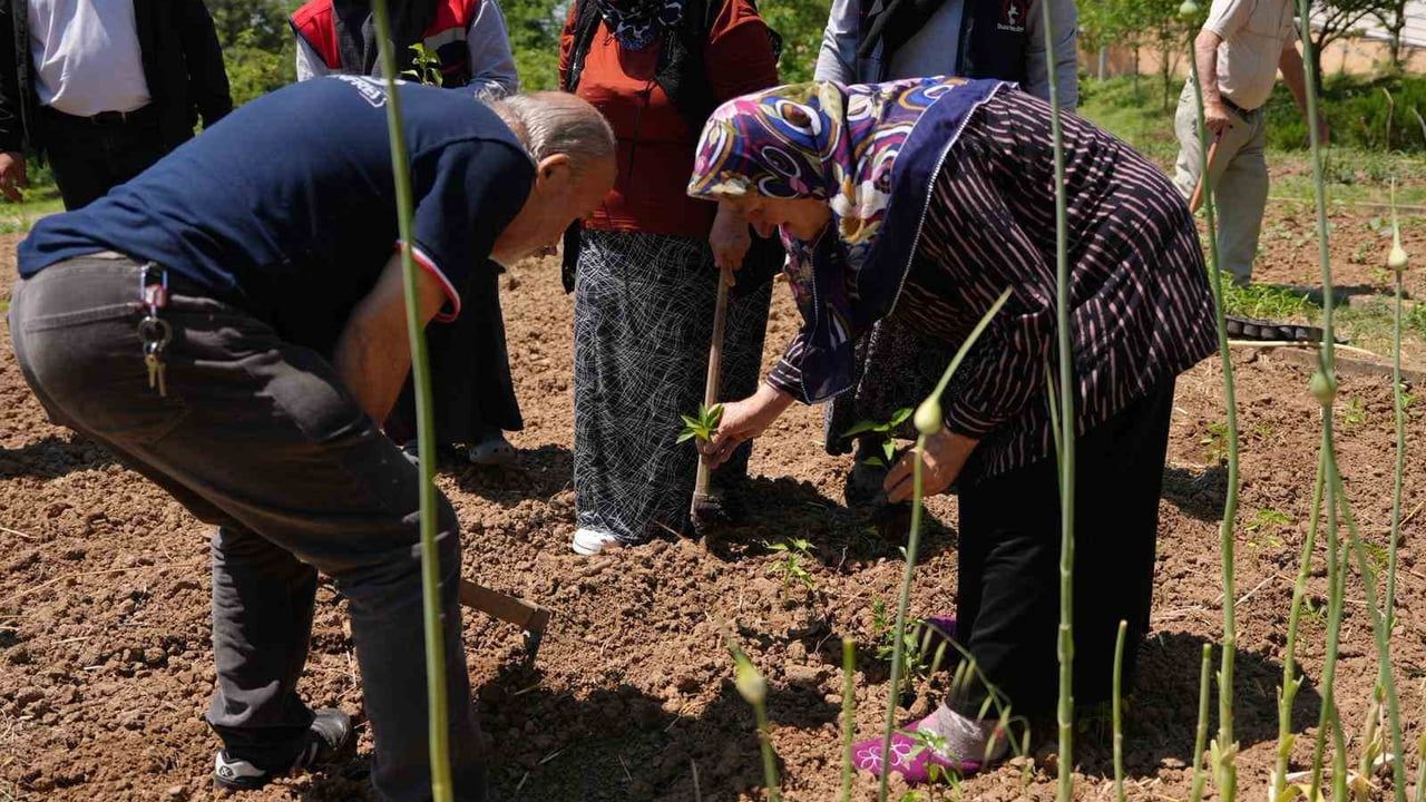 Düzce'de Ata Tohumu Fideleri, Alzheimer ve Huzurevi Sakinleriyle Toprakla Buluştu