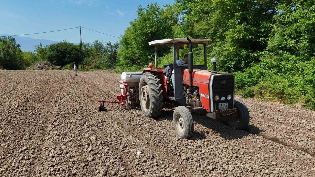 Düzce’de ata tohumu üretimi büyüyor