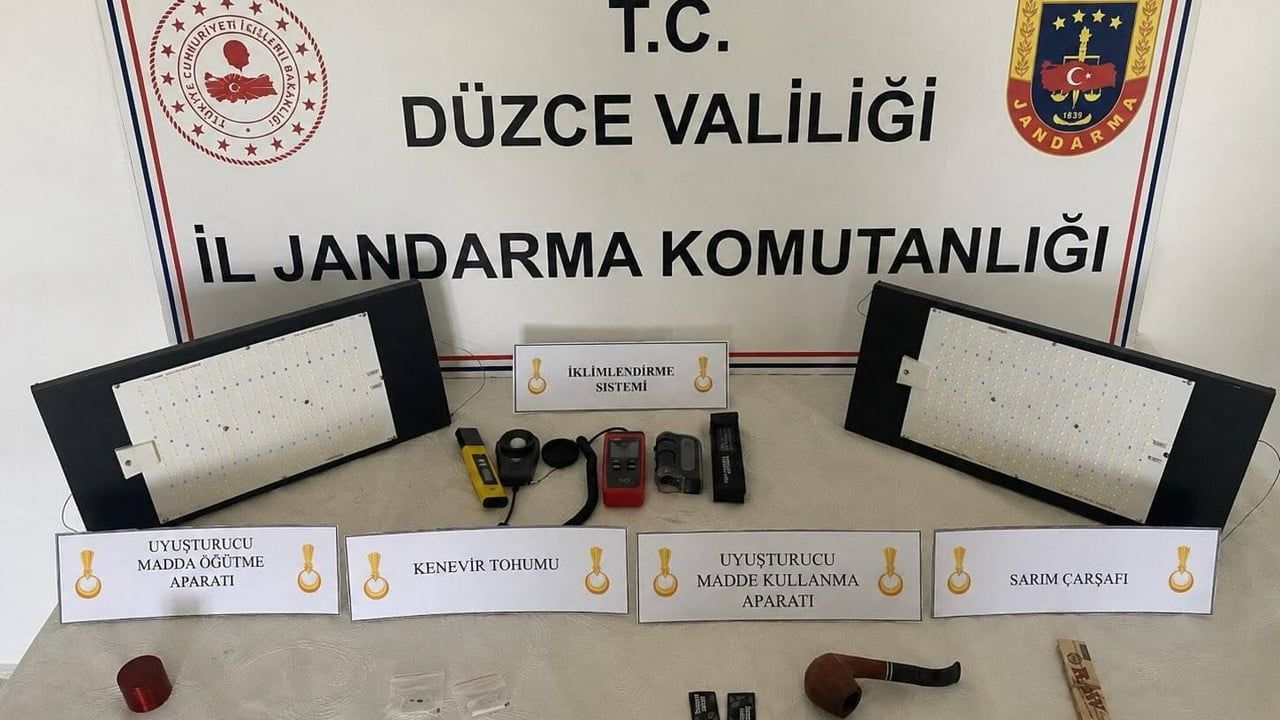 Düzce'de jandarmadan yasa dışı kenevir operasyonu