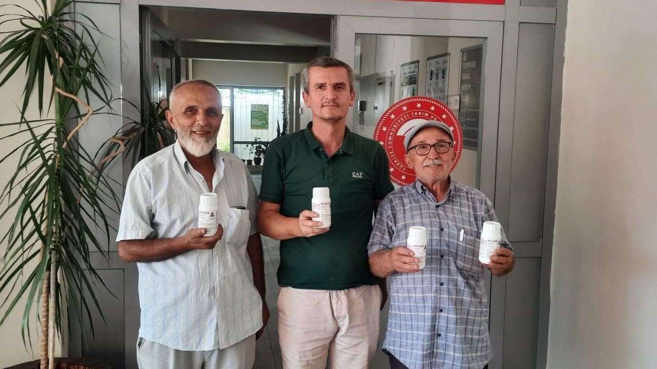 Düzce'de kahverengi kokarca ile mücadelede 72 bin metruk bina ilaçlandı