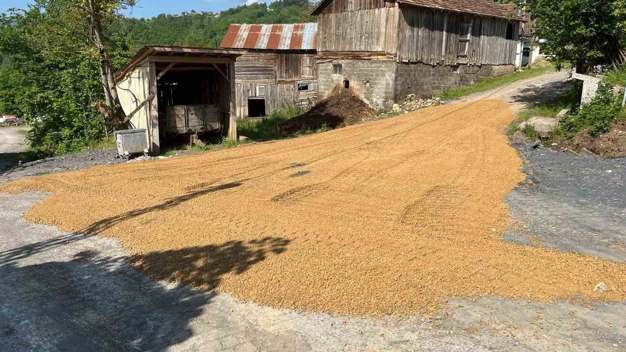 Düzce'de köy yollarında asfalt çalışmaları: Yığılca Aksaklar ve Kaynaşlı Dipsizgöl'de altyapı hazırlıkları