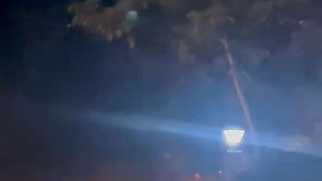 Düzce'de köye inen ayı köylere korku ve heyecan yaşattı