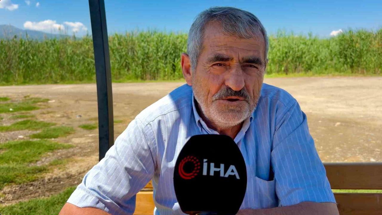 Eber Gölü’nde mandaların toplu serinleme anları Serengeti’yi andırdı