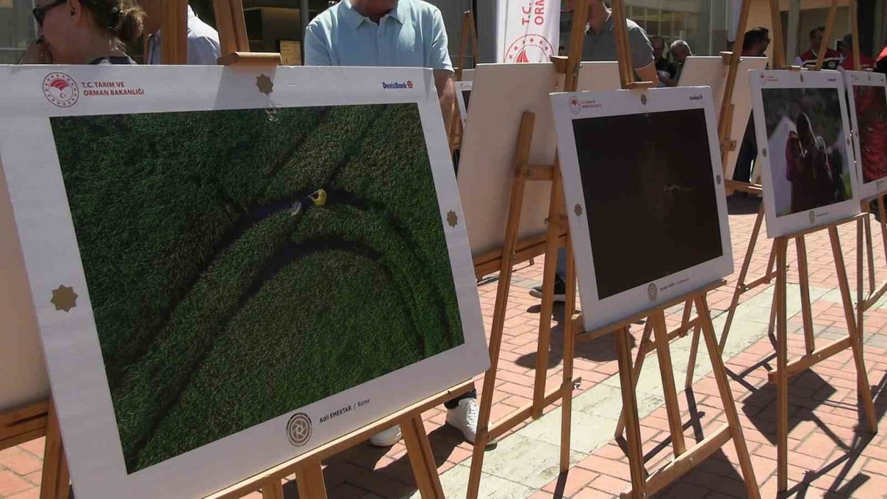 Edirne'de 15. Uluslararası Tarım, Orman ve İnsan Fotoğraf Yarışması sergisi açıldı