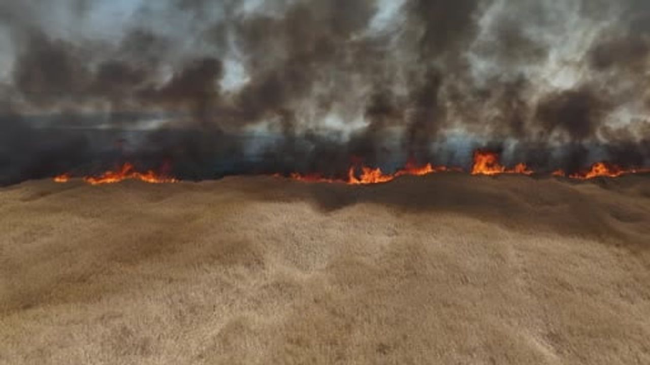Edirne'de anız yangını yaklaşık 750 dönüm tarım arazisine zarar verdi