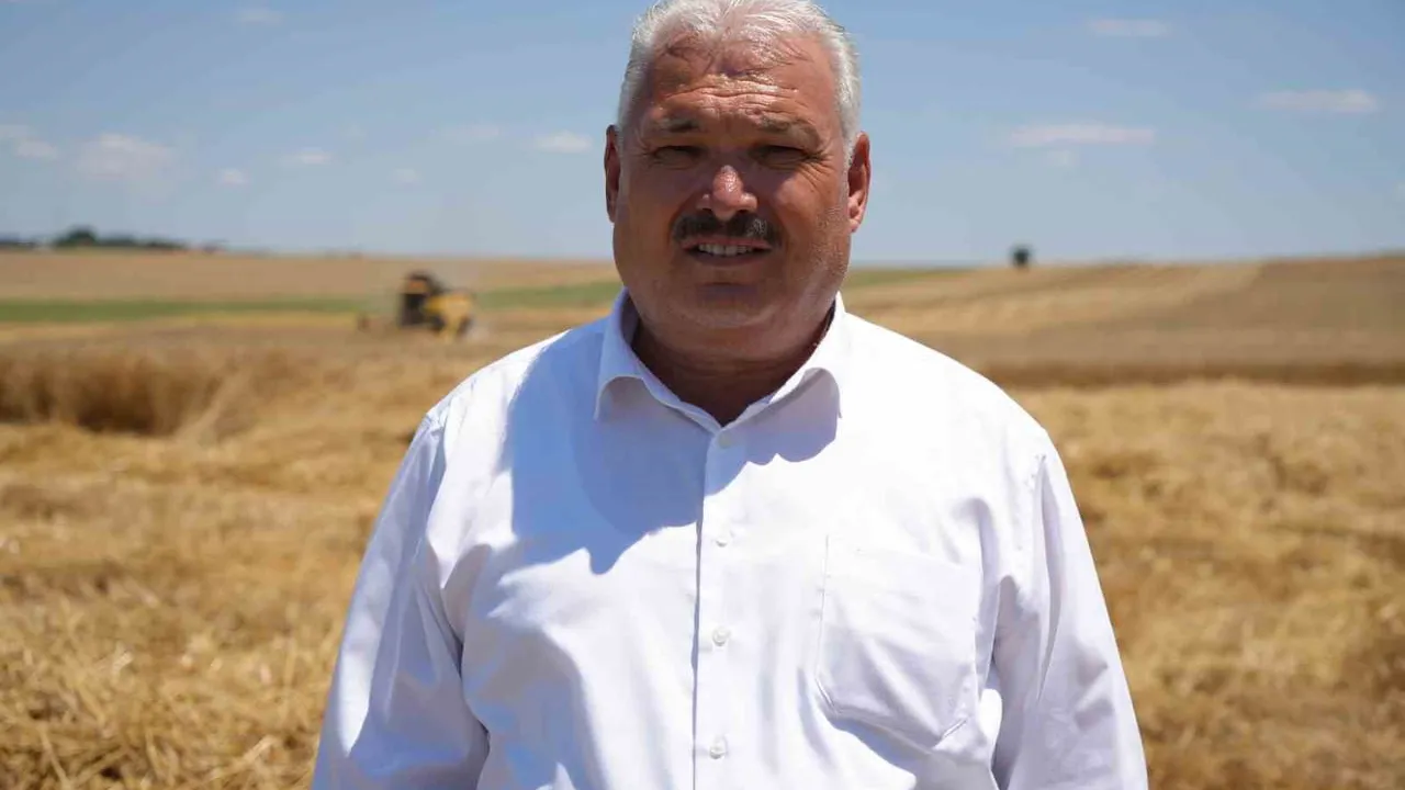 Edirne'de buğday hasadı çiftçinin yüzünü güldürüyor