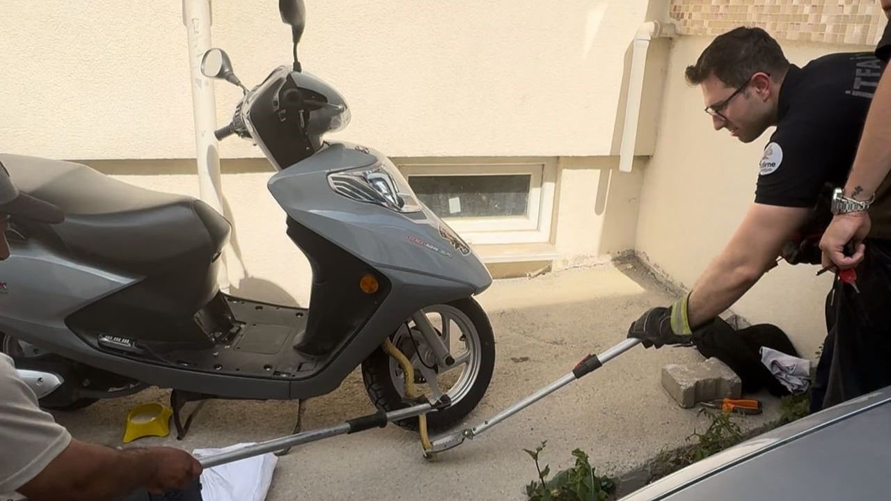 Edirne'de Park Halindeki Motosiklete Giren Yaklaşık 1 Metrelik Yılan İtfaiye Tarafından Çıkarıldı