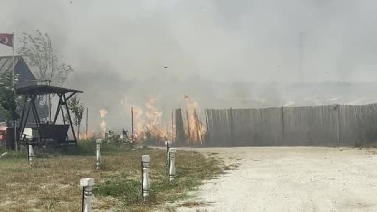 Edirne'de rüzgarın etkisiyle anız yangını hobi bahçelerine sıçradı