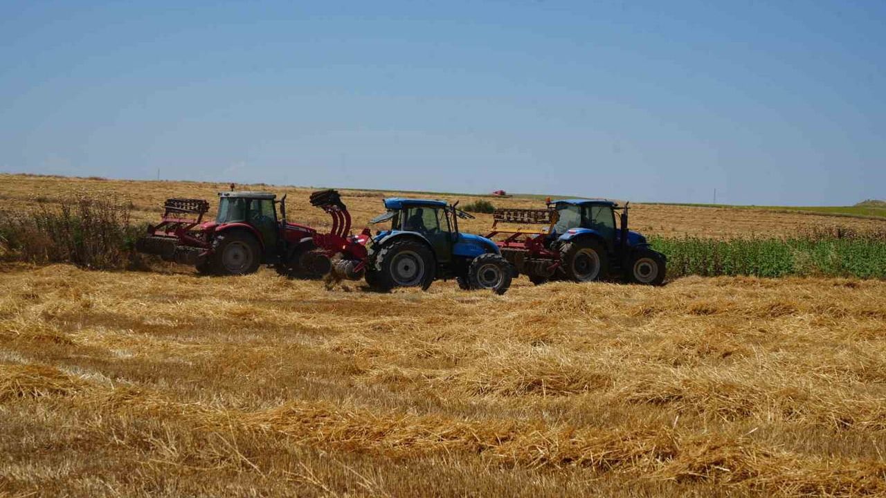 Edirne'de tarlada çıkan yangın 750 dönüm arazide hasara yol açtı