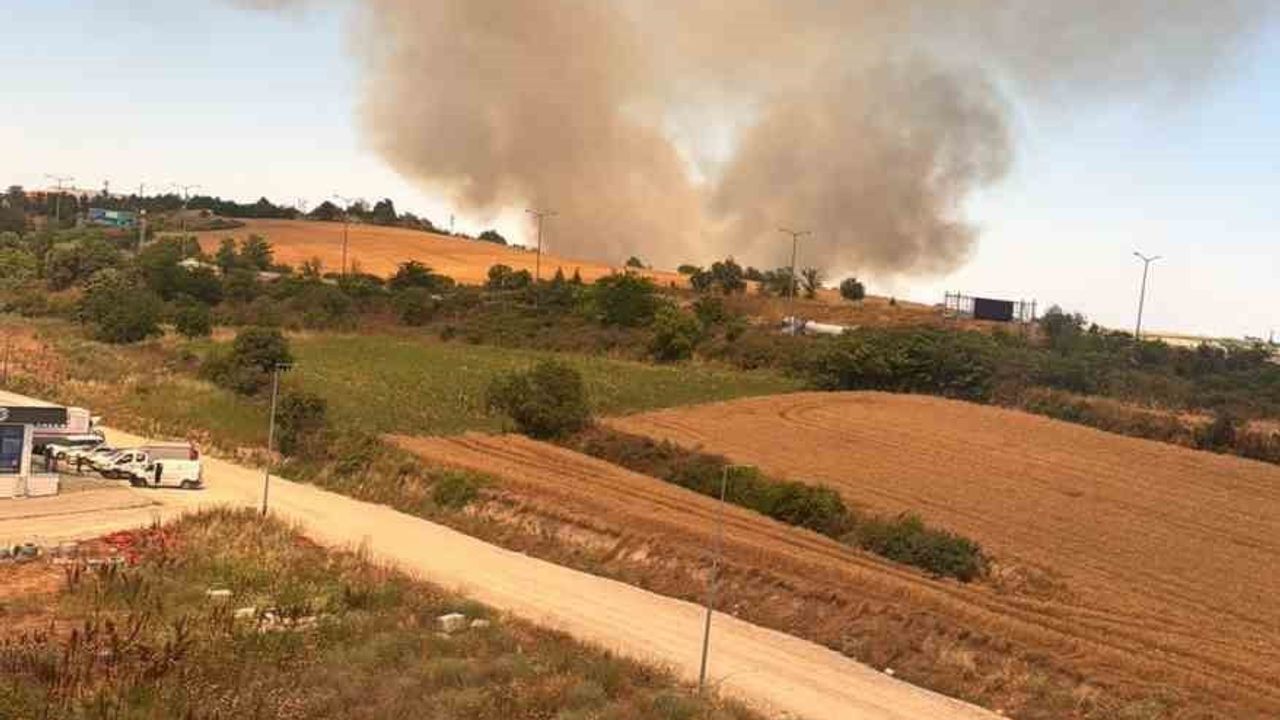 Edirne’de Yeni Şehir Mezarlığı yakınındaki buğday tarlasında yangın söndürüldü