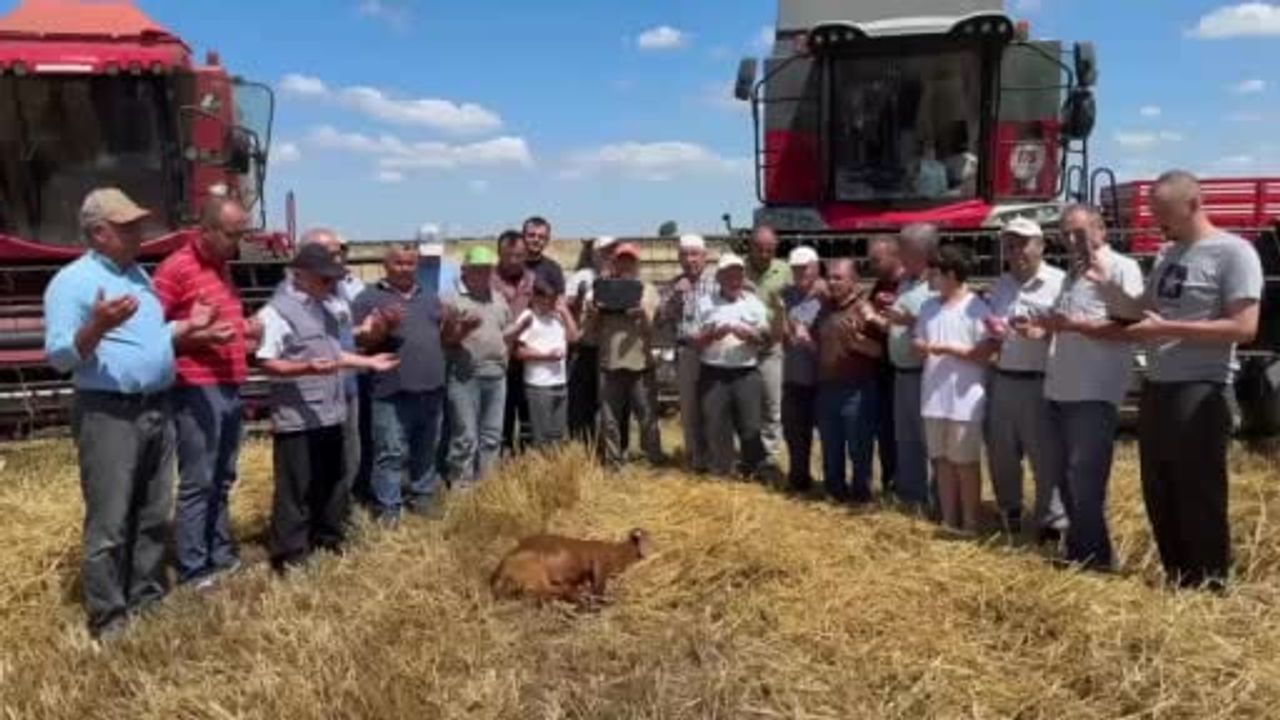 Edirne'nin Kavaklı köyünde 2026 buğday hasadı dualarla başladı