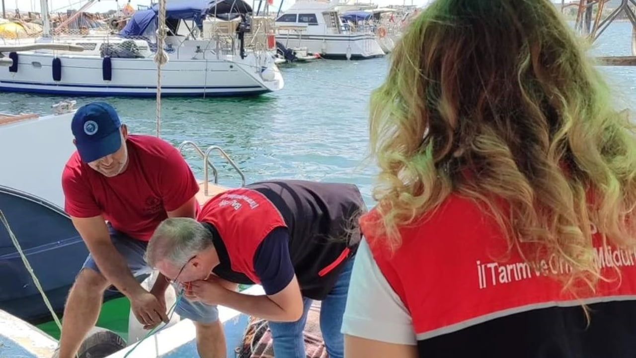 Edremit’te balıkçı gemilerindeki av araçlarına markalama yapıldı: sürdürülebilir balıkçılığa yönelik denetim