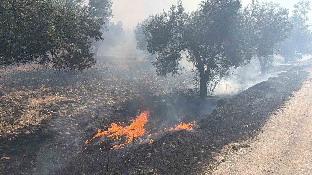 Edremit'te eski çöp sahasında çıkan yangın zeytinliklere sıçradı, itfaiye kontrol sağladı