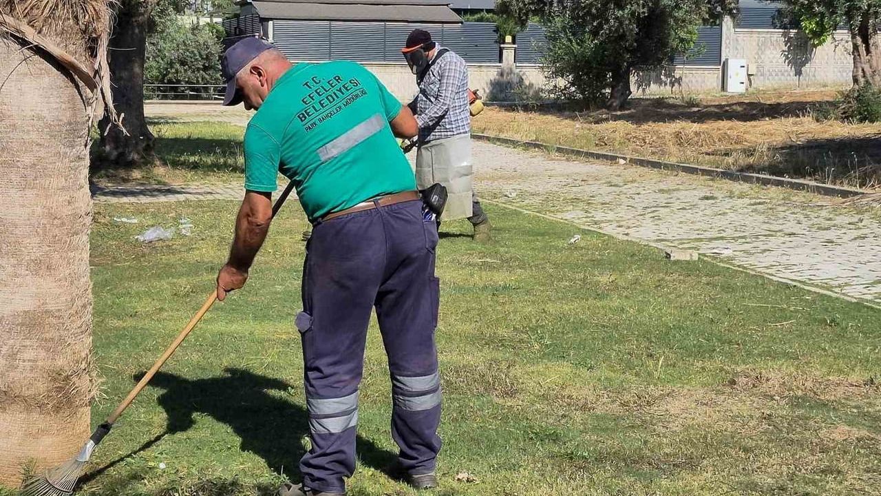 Efeler'de Yaz Temizliği: Park ve Bahçeler Ekipleri Yeşil Alanlarda Bakım ve Yangın Riskini Azaltıyor