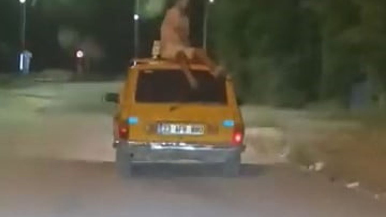 Elazığ'da otomobil tavanında tehlikeli yolculuk görüntülendi