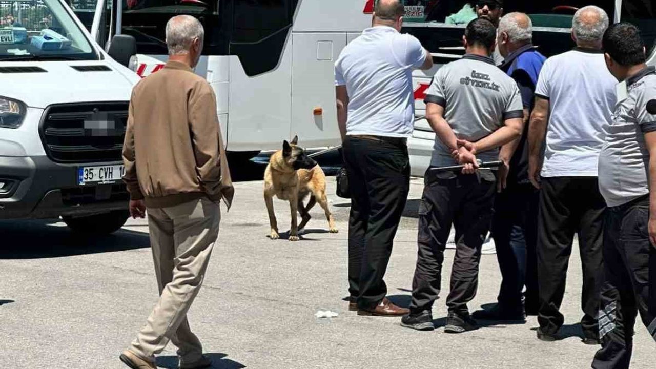 Elazığ Otobüs Terminali'nde kurt cinsi köpeğin saldırısı: 41 yaşındaki kadın hastaneye kaldırıldı