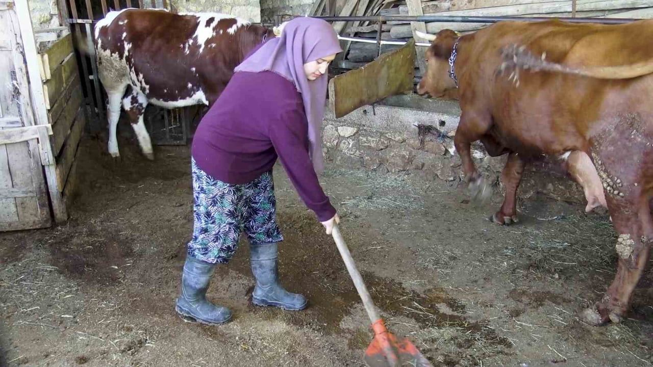 Ermenek'te 22 yaşındaki Zehra’nın hayvan sevgisi sosyal medyada ilgi gördü