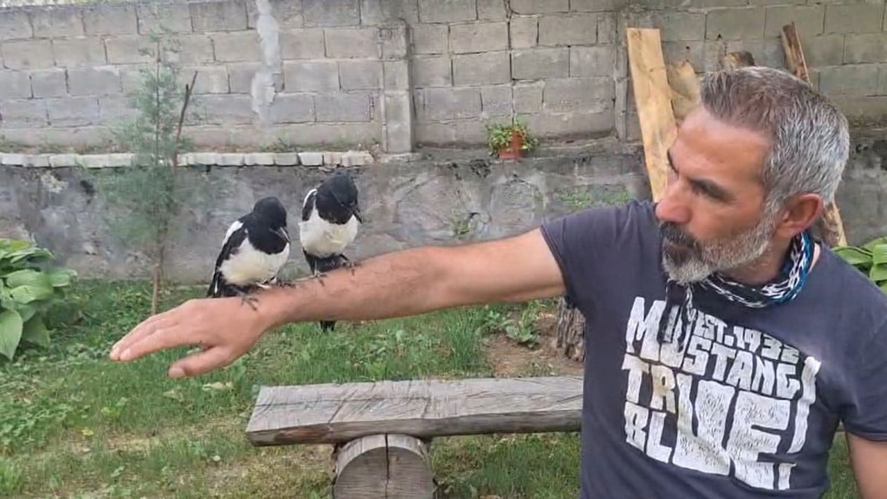 Erzincan’da ağaçtan düşen yavru kuşları sahiplenip doğaya kazandırıyor
