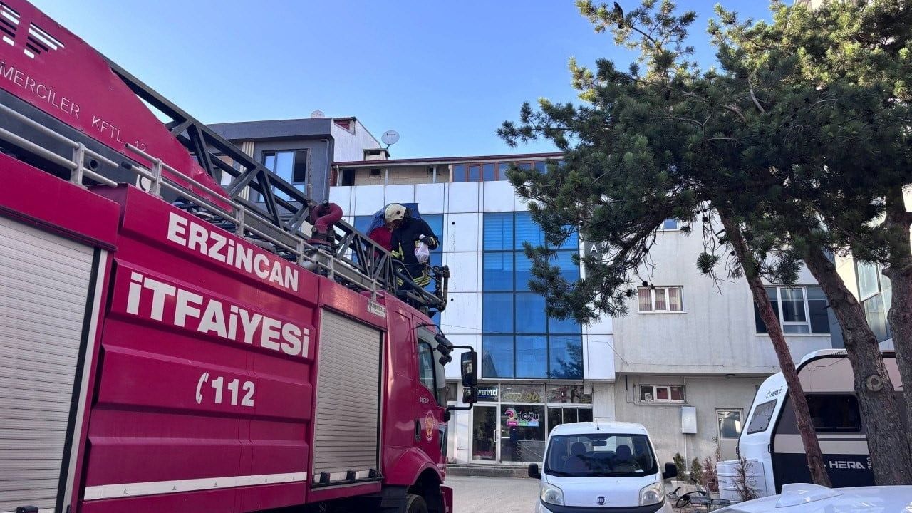 Erzincan’da karga ailesi yavrusunu korumak için tepki gösterdi