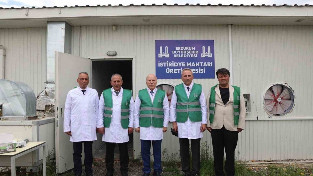 Erzurum Büyükşehir Belediyesi istiridye mantarı üretimini yaygınlaştırıyor