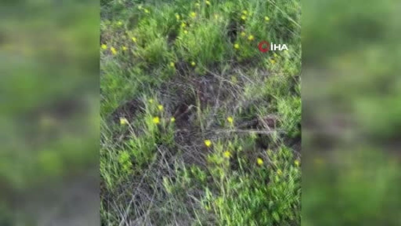 Erzurum'da hafif ticari aracın takla atması: 3 ölü, 4 yaralı