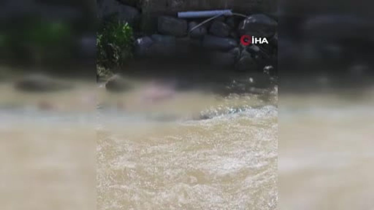 Erzurum'da köprüde barfiks yaparken dereye düşen genç hayatını kaybetti