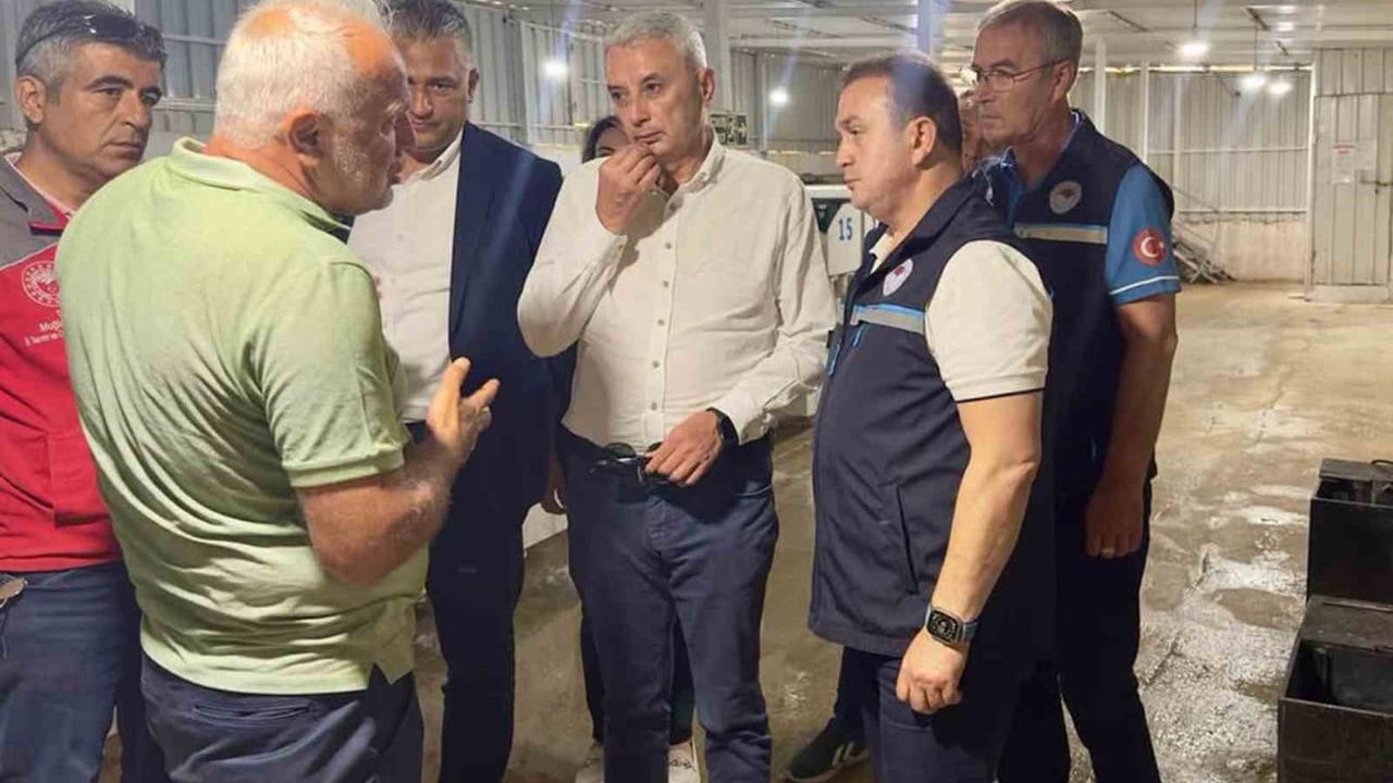 Eşen havzası'ndaki alabalık tesislerinde sektör değerlendirmesi