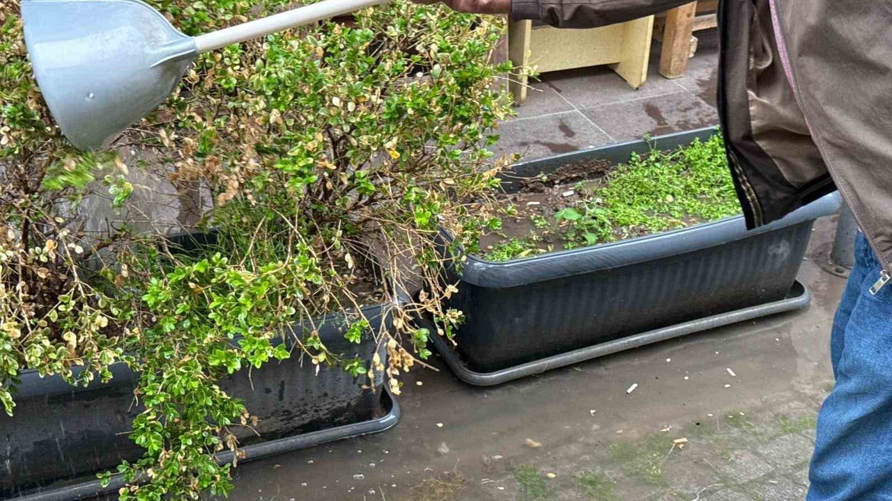 Eskişehir'de altyapı yetersizliği nedeniyle biriken yağmur suyu, vatandaş tarafından saksılardaki bitkileri sulamak için kullanıldı