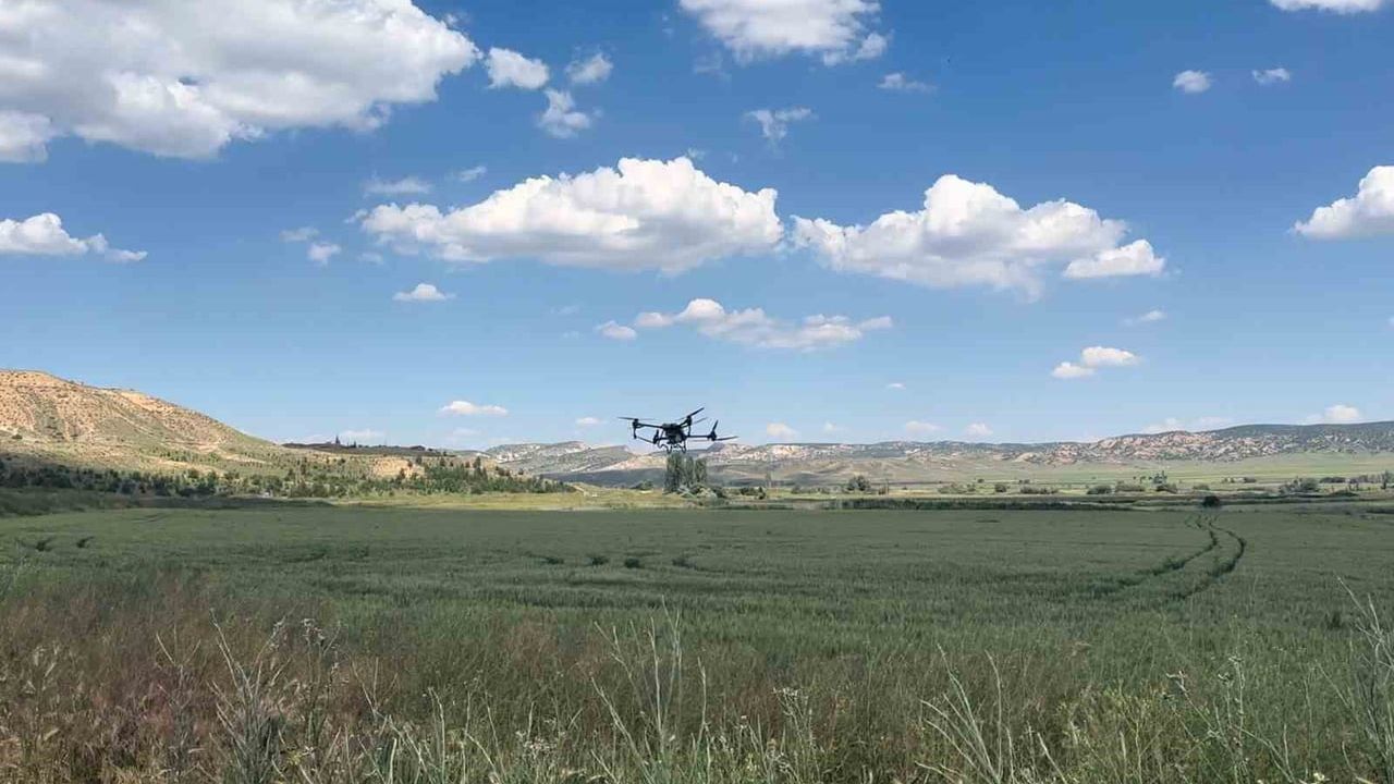 Eskişehir'de çiftçi dron ile ilaçlama yaparak traktörün ekinlere verdiği zararı önledi