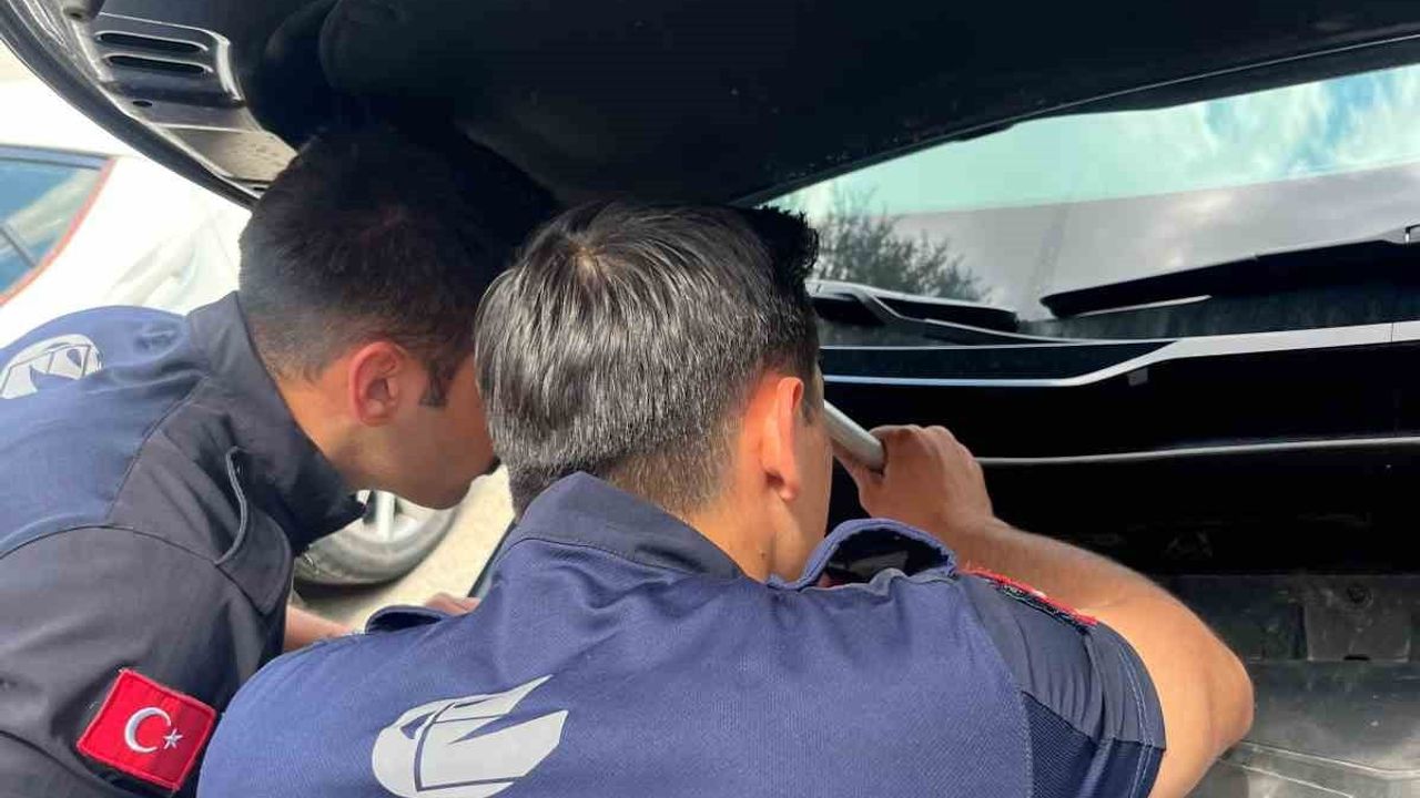 Eskişehir'de motor bölümüne sıkışan kedi itfaiye tarafından kurtarıldı