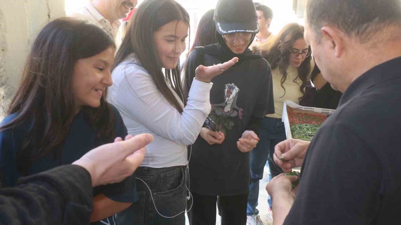 Eskişehir'de öğrenciler 'Yeşil Beceriler' projesiyle ipek böceği üretimini uygulamalı öğrendi